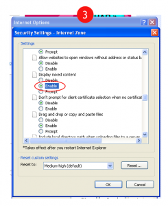 Gmail, Internet Explorer